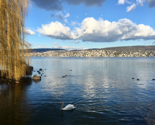 IMG_6410_800x600 zuerisee